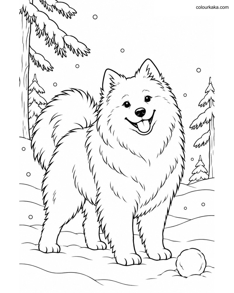 Samoyed Snow Colouring Page thumbnail