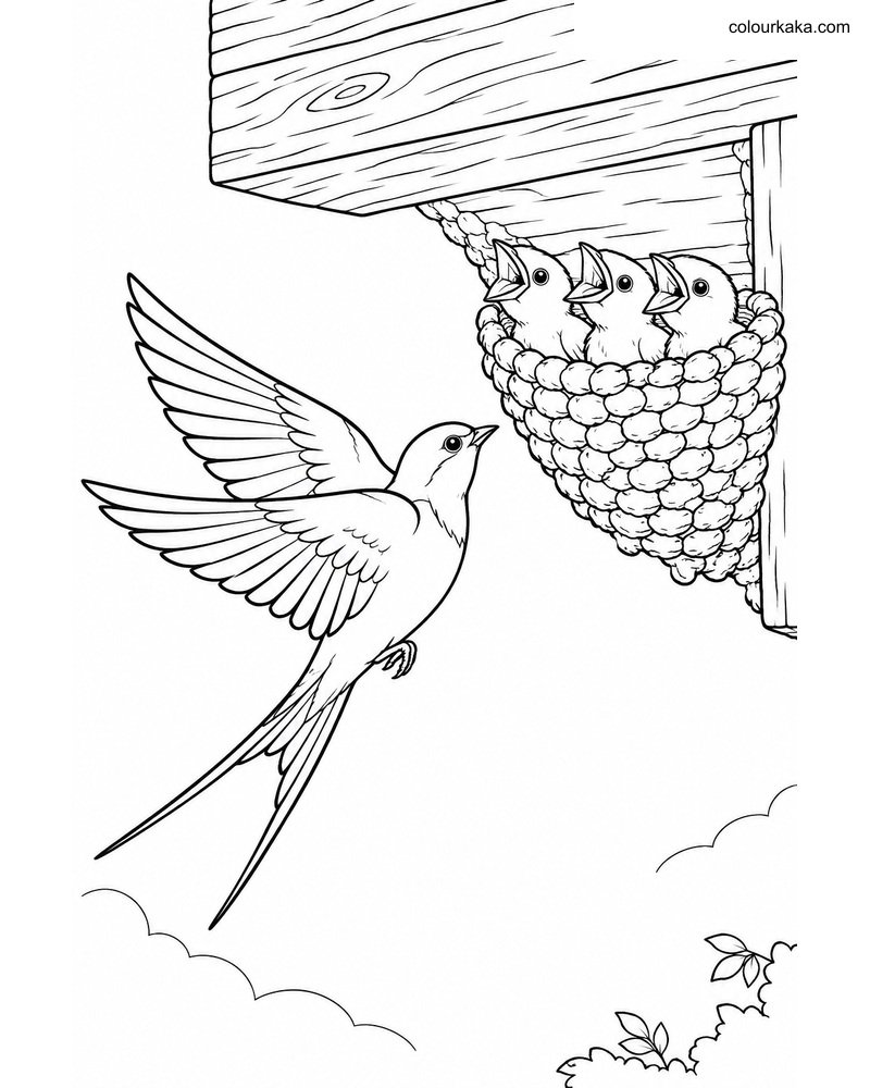 Swallow Mud Cup Colouring Page thumbnail