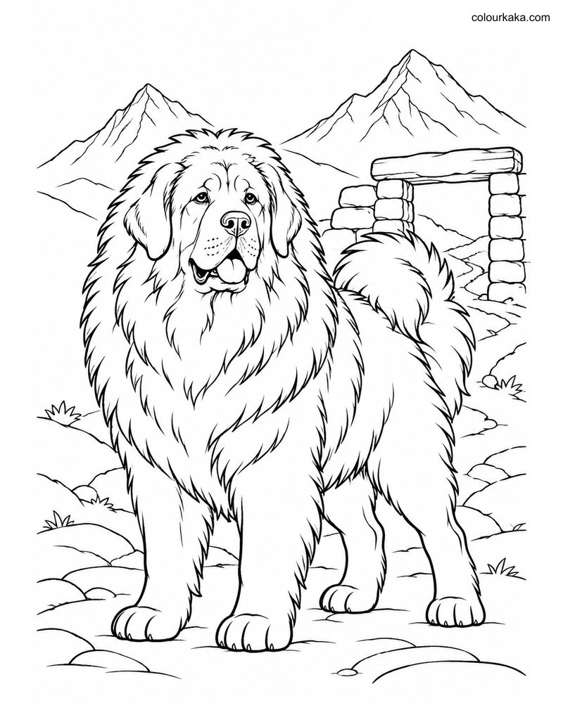Tibetan Mastiff Colouring Page thumbnail