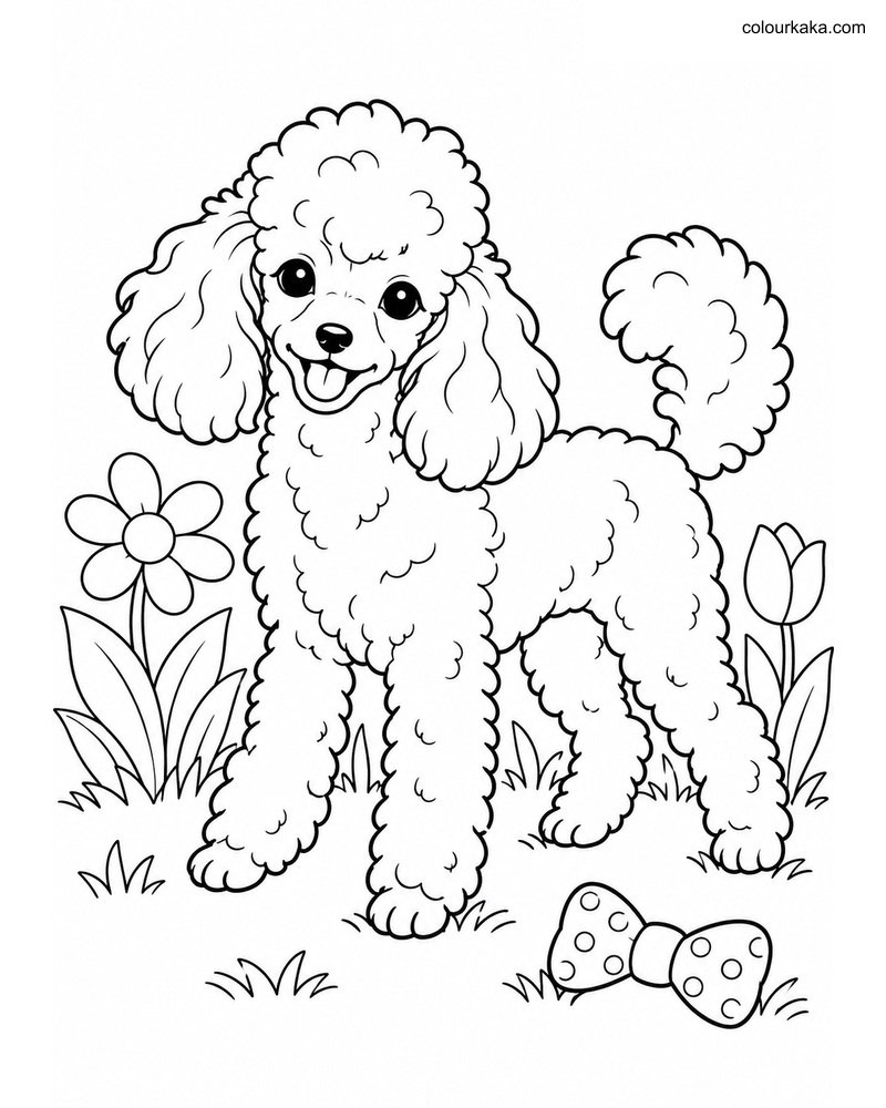 Toy Poodle Colouring Page thumbnail