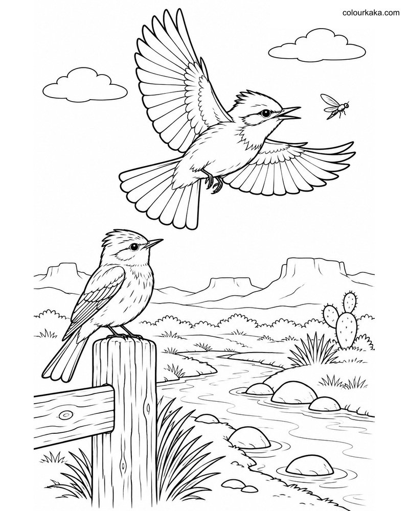 Vermilion Flycatcher Pair Page thumbnail