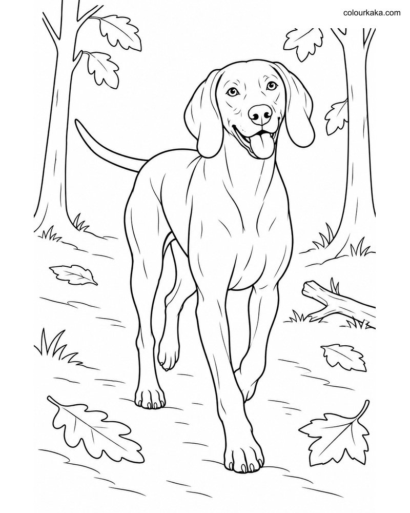 Weimaraner Dog Colouring thumbnail