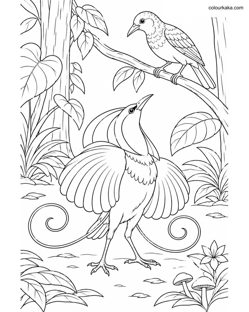 Wilson's Paradise Bird Page thumbnail